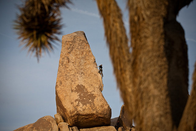 Joshua Tree Climbing 3/15/2025-3/23/2025