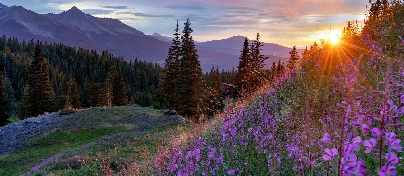 Touch grass in Telluride 8/29-30