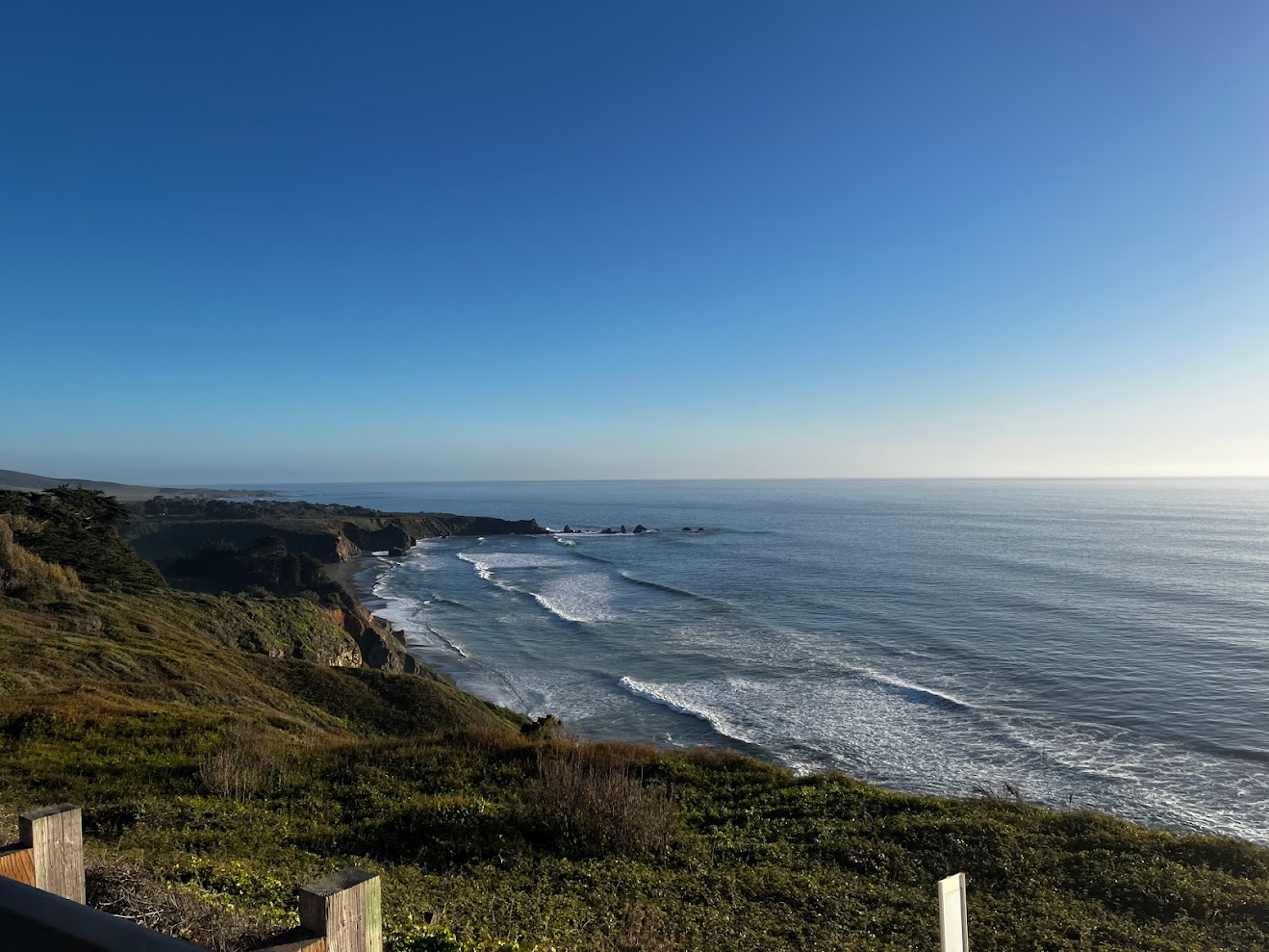 California Dreamin' 3/15/25-3/22/25