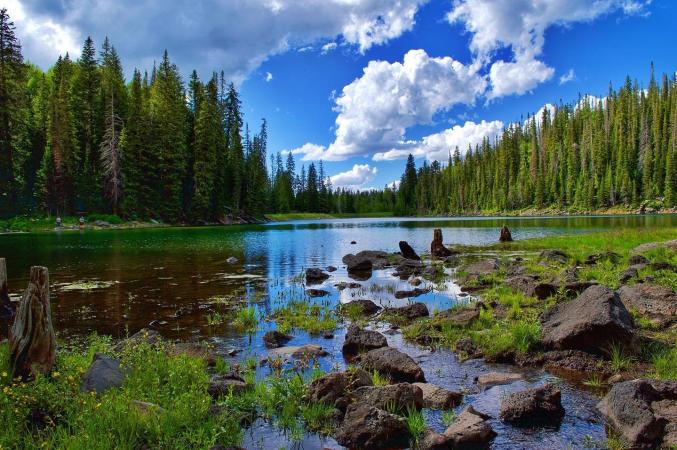 Grand Mesa Camping Extravaganza 8/29-31