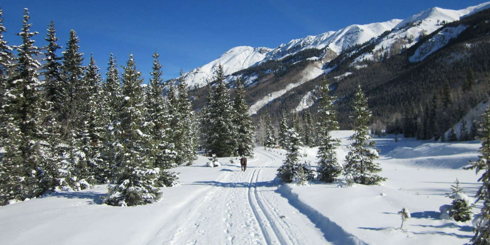 Ouray Ski n' Swim - 1/26/25
