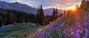 Touch grass in Telluride 8/29-30