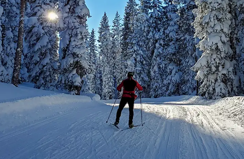 XC Ski Trip 1/31/2026